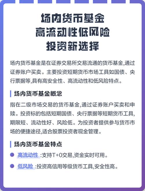場內貨幣基金 高流動性低風險投資新選擇